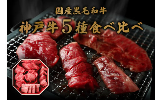 【神戸牛 5種の希少部位焼肉食べ比べ 350g 冷凍】箱入り ギフト 和牛 牛肉 ステーキ しゃぶしゃぶ すき焼き 焼肉 発送：入金確認後3週間程度 ふるさと納税で贈る至福の味わい！自慢の神戸牛をご自宅で堪能しませんか？ 大人気 ふるさと納税 キャンプ バーベキュー 年末年始 お盆 パーティー ボックス ごちそう 但馬牛 但馬 神戸 香美町 村岡 和牛セレブ 28500円 58-08