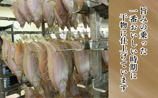 【一夜干し 干カレイと干キスセット】山陰沖で水揚げ 干物 ひもの 海産物 海鮮 魚介 焼いたり 空揚げ お酒のお供 ご飯のお供 送料無料 日本海 香住海岸 香住港 柴山港 兵庫県 香美町 香住 ふるさと納税 宿院商店 12000円 33-12