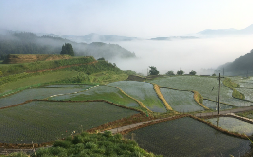 【兵庫県香美町産コシヒカリ】「とろかわの恋（極）」おためし6合(2合×3) 香美ブランド米 但馬堆肥米 お米 白米 令和6年産 9月中旬以降順次発送 7000 7000円 10000円以下 一万円 以下 ふるさと納税 香住 香美町 アグリロード村岡 13-03