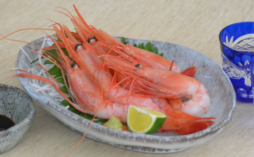 縲千エ逋ス繧ィ繝薙そ繝繝 逕倥お繝500g 逋ス繧ィ繝500g縲 譌・譛ャ豬キ縺ァ豌エ謠壹£縺輔l縺滄ョョ蠎ヲ謚懃セ、縺ョ逕倥∴縺ウ繧定飴蜀縺ァ諤・騾溷キ蜃阪@縺セ縺励◆縲ら洒譎る俣縺ァ諤・騾溷キ蜃 邏ー閭槭r螢翫&縺壹鬟溷刀縺ョ鄒主袖縺励&繧偵く繝シ繝 逕」蝨ー逶エ騾 鬥咏セ守伴 鬥吩ス 螻ア髯ー 蝗ス逕」 蛻コ霄ォ 蝪ゥ辟シ縺 豬キ魄ョ 28,000蜀 04-02