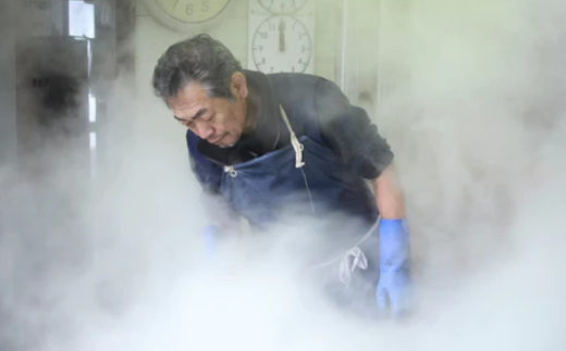 【先行予約】【釜屋の松葉がに（1杯あたり700～900g）脚カット、ほぐし身、蟹みそ1杯分と紅ずわいがにの自家製濃厚蟹みそ1個（40g）－饗宴－ 冷蔵】令和7年11月中旬以降順次発送予定 ふるさと納税 カニの本場 香住 ベニズワイガニ 兵庫県 香美町 カニ 甲羅みそ かにみそ ボイル カニ身 脚 カット 職人が見極めて手作業で炊き上げ 一切冷凍保存を行わない カネリョウ 120000円 39-04