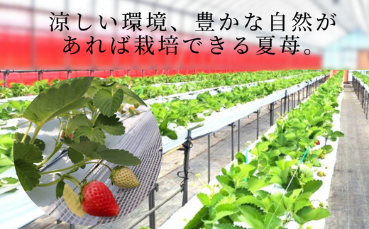 ãå
è¡äºçŽããæééå®ãã€ããŽã®æé«çŽåçš® ããã«ã»ã®ã 300gïŒ12ïœ24ç²ïŒ2ãã㯠ã什å8幎7æä»¥éçºéäºå®ã éŠçŸèº ãã¡ã ã€ããŽ äººæ° ãããã å
µåº«ç éŠçŸçº æå²¡ ãŠãŒã¹ã©ã³ã 18-06