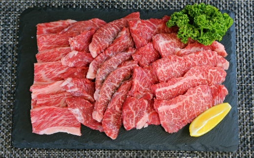 但馬牛 焼肉 食べ比べ五種盛 合計500g（イチボ100g ランプ100g ヒウチ100g シンタマ100g バラ100g）冷凍　発送目安：貴重な部位のためお届けに1〜2か月要する場合があります  02-18