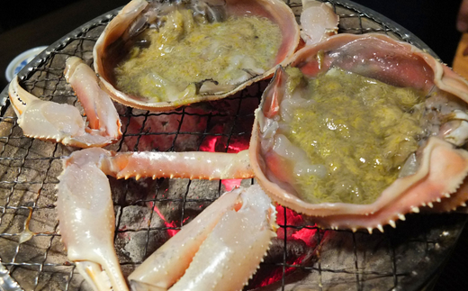 【先行予約】【訳あり 活松葉ガニ 生 3枚（計約1.2～1.5kg）冷蔵】2月以降配送予定 ※足が1～2本折れたカニが混じります カニの本場 香住で水揚げされた新鮮な活松葉ガニをお届け 国産 刺身 しゃぶしゃぶ 焼きガニ 鍋 カニ鍋 かにすき 脚 足 爪 身 肩 ランキング 大人気 ふるさと納税 兵庫県 香住 柴山 ズワイガニ かに 宿院商店 51000円 33-26