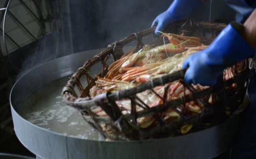 【先行予約】【釜屋の松葉がに（1杯あたり700～900g）脚カット、ほぐし身、蟹みそ1杯分と紅ずわいがにの自家製濃厚蟹みそ1個（40g）－饗宴－ 冷蔵】令和7年11月中旬以降順次発送予定 ふるさと納税 カニの本場 香住 ベニズワイガニ 兵庫県 香美町 カニ 甲羅みそ かにみそ ボイル カニ身 脚 カット 職人が見極めて手作業で炊き上げ 一切冷凍保存を行わない カネリョウ 120000円 39-04