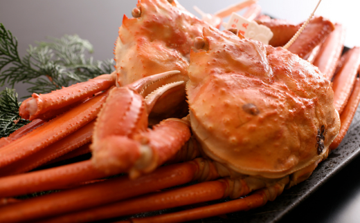 【本場香住漁港であがった！香住ガニセット8匹入り 三七十特製カニ味噌3本付 冷蔵/冷凍】カニの本場 香住産 厳選 茹で香住ガニ姿8杯入り 鮮度抜群 水揚げされたばかりの香住ガニを熟練の職人が釜茹でします かに ゆでガニ むき身 足 爪 かにすき おすすめ 兵庫県 香美町 香住 三七十 05-06