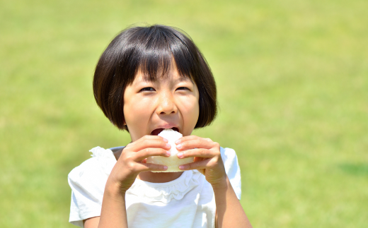 【兵庫県香美町産コシヒカリ】【令和6年産】とろかわの恋（極）香美ブランド米 但馬堆肥米 お米 白米 令和6年産 9月中旬以降順次発送 43000円 13-01　