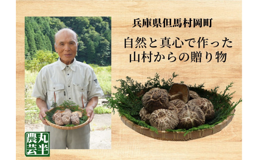 【贈答用　箱入りしいたけ　210ｇ】  きのこ キノコ 椎茸 しいたけ シイタケ 乾燥椎茸 原木乾燥しいたけ 原木栽培 最上級 肉厚 煮物 鍋 だし汁 12000円 55-01  