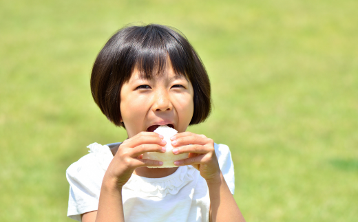 【兵庫県香美町産コシヒカリ】「とろかわの恋（極）」おためし6合(2合×3) 香美ブランド米 但馬堆肥米 お米 白米 令和6年産 9月中旬以降順次発送 7000 7000円 10000円以下 一万円 以下 ふるさと納税 香住 香美町 アグリロード村岡 13-03