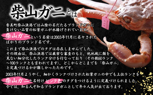 【柴山産 活け タグ付 柴山ガニ 生 900g ～1㎏ 1匹 冷蔵】11月中旬以降配送予定 水揚げの関係上、配達日の指定はできません 香住で水揚げされた新鮮な活松葉ガニをお届け カニの本場 香住 新鮮 国産 鍋 かにすき 脚 足 爪 身 肩 大人気 ふるさと納税 兵庫県 香美町 香住 柴山 ズワイガニ 松葉ガニ ヤマヨシ 83000円 37-08