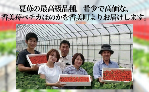 ãå
è¡äºçŽããæééå®ãã€ããŽã®æé«çŽåçš® ããã«ã»ã®ã 300gïŒ12ïœ24ç²ïŒ2ãã㯠ã什å8幎7æä»¥éçºéäºå®ã éŠçŸèº ãã¡ã ã€ããŽ äººæ° ãããã å
µåº«ç éŠçŸçº æå²¡ ãŠãŒã¹ã©ã³ã 18-06