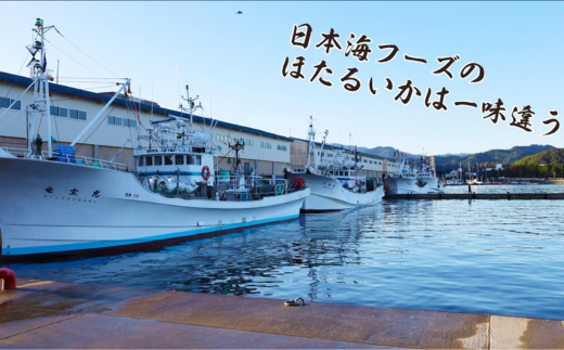 【訳あり】兵庫県香住産 ほたるいか 素干し  60g  入金確認後順次発送 北海道 沖縄 全国発送可 兵庫県香住漁港で水揚げされた新鮮なほたるいかを使用 昔ながらの製法で丁寧に素干し 日本酒 焼酎 ビールなど、酒の肴に最適 お子様のおやつとしてもオススメ 大人気 ホタルイカ イカ いか ふるさと納税 香美町 香住 日本海フーズ にしとも かに市場 3000 3000円 三千円 以下 07-111