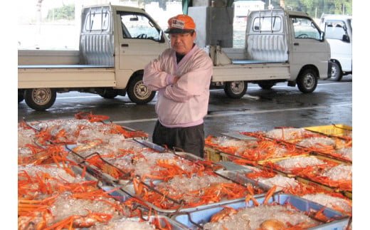 【かに甲羅盛りセット12個入り 産地直送】発送目安：入金確認後1ヶ月程度 兵庫県香住漁港産の香住ガニを原料 濃厚な味わいのかにみそ みずみずしい脚肉のほぐし身 レンジ対応の特殊パック 温かい甲羅盛り 手軽にお召し上がり下さい 紅ズワイガニ 兵庫県 香美町 香住 カニ 甲羅盛り ハマダセイ 兵庫県 香美町 香住 カニ 甲羅盛り ハマダセイ 32500円 51-08