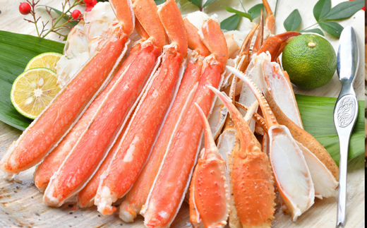 【先行予約】【訳あり 活松葉ガニ 生 3枚（計約1.2～1.5kg）冷蔵】2月以降配送予定 ※足が1～2本折れたカニが混じります カニの本場 香住で水揚げされた新鮮な活松葉ガニをお届け 国産 刺身 しゃぶしゃぶ 焼きガニ 鍋 カニ鍋 かにすき 脚 足 爪 身 肩 ランキング 大人気 ふるさと納税 兵庫県 香住 柴山 ズワイガニ かに 宿院商店 51000円 33-26