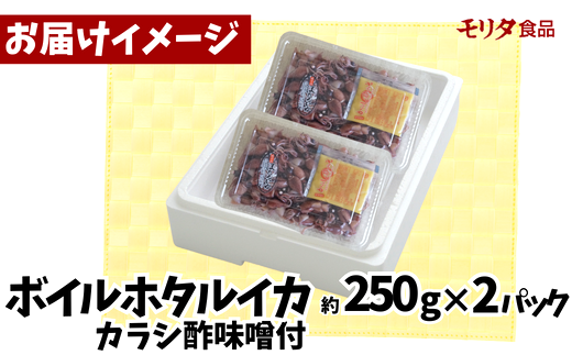 【ほたるいか 鮮度抜群 ボイル 小分け 250g×2パック 500g 酢味噌付 兵庫県産 冷蔵】【先行予約：令和7年3月以降発送予定】 生ほたるいかを水揚げ後すぐにボイル その日のうちに発送 新鮮さが際立ち、冷凍からの茹で上げとは艶が全く違います 熟練の職人が絶妙な塩加減で茹上げ 兵庫県はホタルイカ水揚げ日本一 いか 香美町 香住 しゃぶしゃぶ ふるさと納税 モリタ食品 6000円 10-13