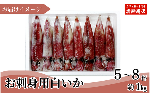 ãå
µåº«çéŠäœç£ çœãã å£å
ãã ãåºèº«çš æ°é®® 5ïœ8æ¯ çŽ1kg å·åãã什å8幎6æäžæ¬ä»¥éçºéäºå®ã åœç£ éŠäœ 鮮床æçŸ€ æ¥éå·å ç£å°çŽé åºèº« ã€ã«çŒã ã€ã«ãã©ã€ äººæ° ãããã å
µåº«ç éŠçŸçº 宿é¢ååº 33-07