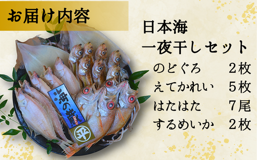 【干物 日本海一夜干しセット ノドグロ2枚、エテカレイ5枚、ハタハタ7尾、スルメイカ2枚 干物の本場 香住産 冷凍】日本海の旬の干物が大集合です。伝統の技術 素材の良さ抜群 兵庫県 香美町  柴山 大人気 ふるさと納税 蔵平水産 27500円 08-05