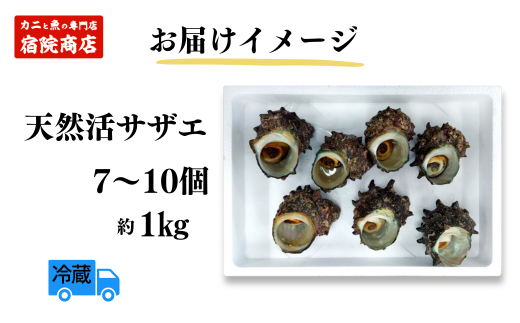 【サザエ 兵庫県香住産 新鮮 天然 活サザエ 1kg（7～10個）冷蔵】※発送目安：入金確認後、順次発送 香住で水揚げされた新鮮なサザエをお届けします。つぼ焼き、炊き込みご飯（サザエ飯）、酒の肴などにピッタリ！磯の香りが濃く風味豊かなサザエです。大人気 ふるさと納税 夏休み BBQ バーベキュー キャンプ お盆 海 海水浴 日本海 兵庫県 香美町 香住 柴山 宿院商店 10500円 33-19