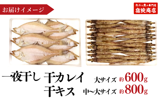 【一夜干し 干カレイと干キスセット】山陰沖で水揚げ 干物 ひもの 海産物 海鮮 魚介 焼いたり 空揚げ お酒のお供 ご飯のお供 送料無料 日本海 香住海岸 香住港 柴山港 兵庫県 香美町 香住 ふるさと納税 宿院商店 12000円 33-12