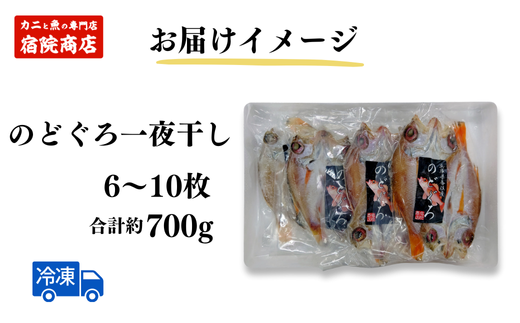 【兵庫県香住産 のどぐろ一夜干 約700g（6~10枚）】香住で水揚げ 鮮度抜群 白身魚の王様 高級魚 一夜干し 濃厚な脂 身は柔らかく 旨味が詰まった逸品 兵庫県 香美町 宿院商店 19000円 33-15