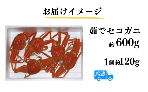 【柴山産 茹でセコガニ 5匹 約600g 1匹約120g】11月中旬以降配送予定 濃厚なかにミソとやみつきになる内子、外子が絶品です 数量限定 産地直送 鮮度抜群 絶妙の塩加減での茹で上げ 大人気 ふるさと納税 香美町 香住 柴山 カニ 松葉ガニ せいこがに メスガニ 親ガニ ヤマヨシ 20000円 37-03