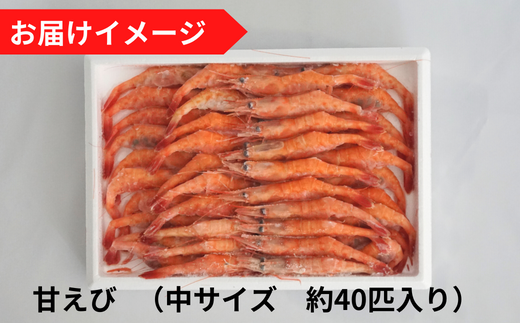 【船内冷凍 甘えび（あかえび）中サイズ40匹入り 】 700ｇ前後 冷凍 兵庫県香住産 日本海で水揚げされた鮮度抜群の甘えびを船内で急速冷凍しました。短時間で急速冷凍 細胞を壊さず、食品の美味しさをキープ 産地直送 香美町 香住 山陰 国産 刺身 海鮮 魚や HARATOKU 14000円 56-02