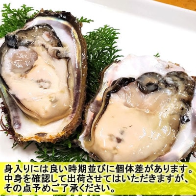 山陰の岩ガキ・サザエ詰合(大きさにより各6〜10個)牡蠣は殺菌済　下処理済　生食OK　さざえ砂抜き済【配送不可地域：離島・北海道・沖縄県・東北・関東・九州】【1114073】