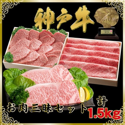 神戸牛(神戸ビーフ)お肉三昧セット 計1.5kg SOLS10【配送不可地域：離島】【1687013】