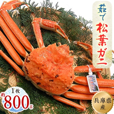 松葉ガニの本場より プロ茹で松葉ガニ(冷凍)　1枚　約800g【配送不可地域：離島】【1062955】