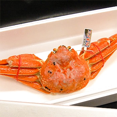 松葉ガニの本場より プロ茹で松葉ガニ(冷凍)　1枚　約800g【配送不可地域：離島】【1062955】