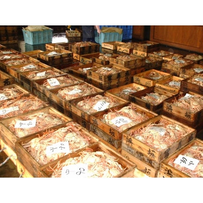 æŸèã¬ãã®æ¬å Žãèš³ããã»çã»ã³ã¬ã(å·èµ)倧ãµã€ãºã5æãå
µåº«çæ°æž©æ³çºããé
éäžå¯å°åïŒé¢å³¶ã»åæµ·éã»æ²çžçã»æ±åãã1132207ã