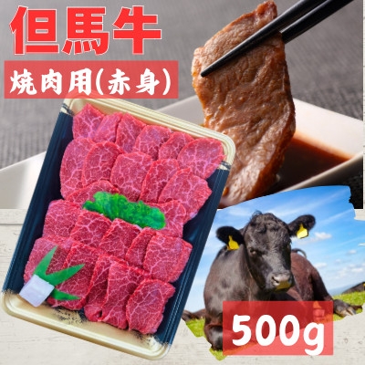 但馬牛　焼き肉用(赤身　500g)【配送不可地域：離島】【1072498】