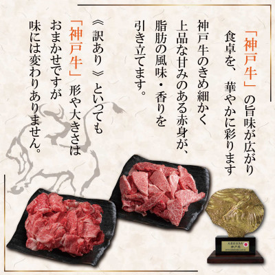 èš³ãã ç¥æžç(ç¥æžããŒã)éšäœããŸãã çŒãèçš 400g SOY1ãé
éäžå¯å°åïŒé¢å³¶ãã1686964ã