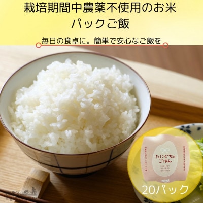 【無添加】ご飯パック20個　栽培期間中農薬不使用米のご飯【1583360】