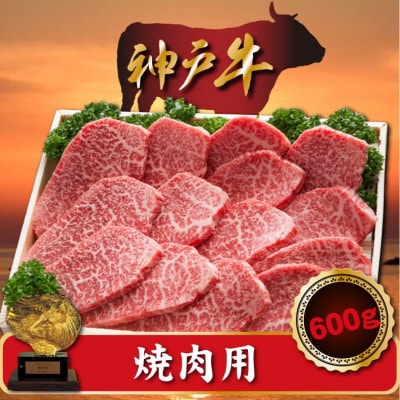 神戸牛 焼肉用　600g　SOY2【配送不可地域：離島】【1517919】