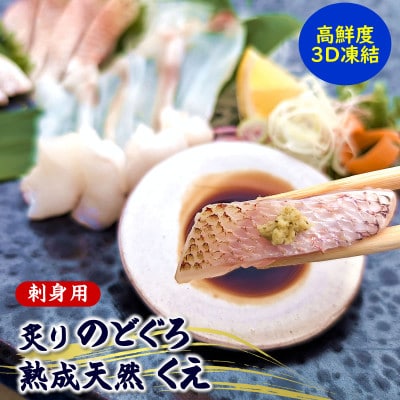 高級魚「天然クエ熟成」「炙りノドグロ」お刺身用 旨味凝縮 高鮮度3D凍結 個包装【配送不可地域：離島】【1546667】