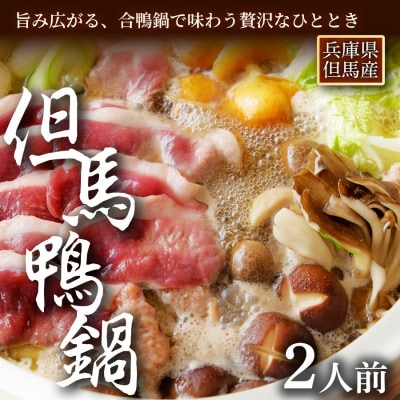 但馬鴨鍋セット(出汁付き・2人前)国産鴨肉で簡単に本格鴨鍋【配送不可地域：離島】【1537908】