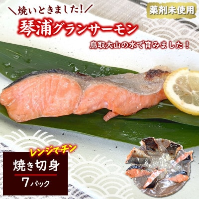 国産とっとり琴浦グランサーモン焼いときました 焼魚7切 塩焼き 不揃いのため訳あり 個包装 レンチン【配送不可地域：離島】【1641838】