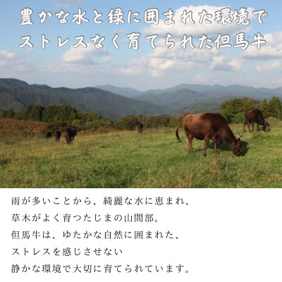 但馬牛　焼肉用(霜降り部位)　1kg【配送不可地域：離島】【1106890】