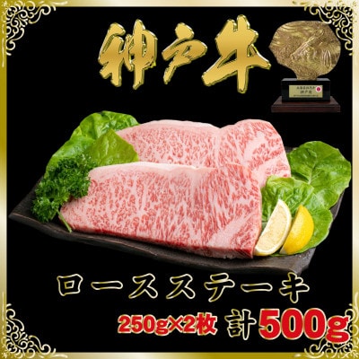 神戸牛(神戸ビーフ)ロースステーキ250g×2枚計500g SOST5【2026年4月より順次発送】【配送不可地域：離島】【1687003】