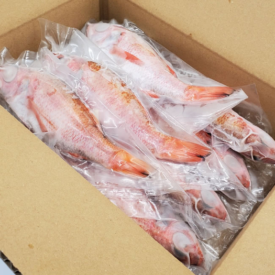 山陰のノドグロ　7尾入　煮付け、塩焼きに!【配送不可地域：離島】【1117132】