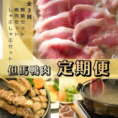 【毎月定期便】但馬鴨お楽しみコース3〜4人前(鴨鍋　焼肉　しゃぶしゃぶ)全3回【配送不可地域：離島】【4055908】