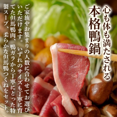 【玄米うどん付】但馬鴨鍋セット(4〜5人前)締めまで楽しむごちそう鍋【配送不可地域：離島】【1537944】