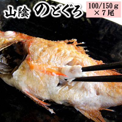 山陰のノドグロ　7尾入　煮付け、塩焼きに!【配送不可地域：離島】【1117132】