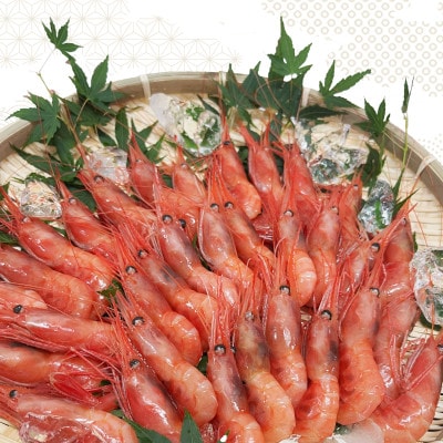 縺雁絢霄ォ逕ィ逕倥∴縺ウ500g(M繧オ繧、繧コ44蛹ケ蜑榊セ)縲宣埼∽ク榊庄蝨ー蝓滂シ夐屬蟲カ縲代1633454縲