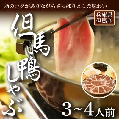「但馬鴨」しゃぶしゃぶセット(小)3〜4人前【配送不可地域：離島】【1266626】