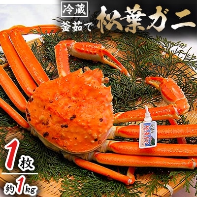 松葉ガニの本場より活〆茹でたてを即出荷　釜茹で松葉ガニ(冷蔵)　1枚　約1kg【配送不可地域：離島・北海道・沖縄県・東北】【1040269】