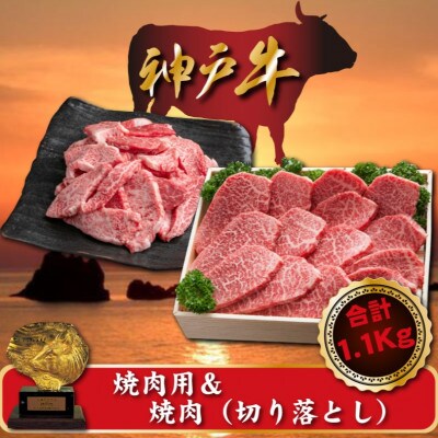 神戸牛 焼肉用＆焼肉(切り落とし)セット　合計1100g　SOY3【配送不可地域：離島】【1517921】