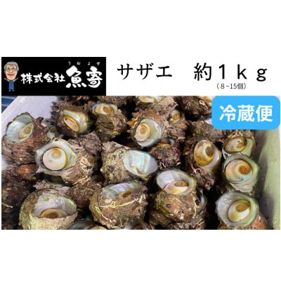 サザエ 約1kg(8個〜15個)【配送不可地域：離島・北海道・沖縄県・東北】【1746720】