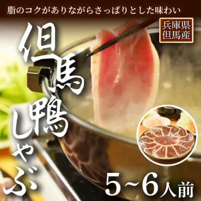 「但馬鴨」しゃぶしゃぶセット(大)5〜6人前【配送不可地域：離島】【1274922】